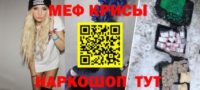 гашик Камышлов