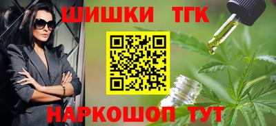 гашик Камышлов