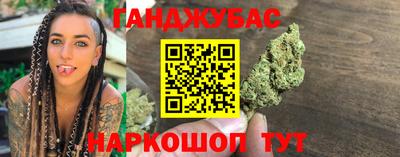 гашик Камышлов