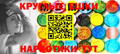 гашик Камышлов