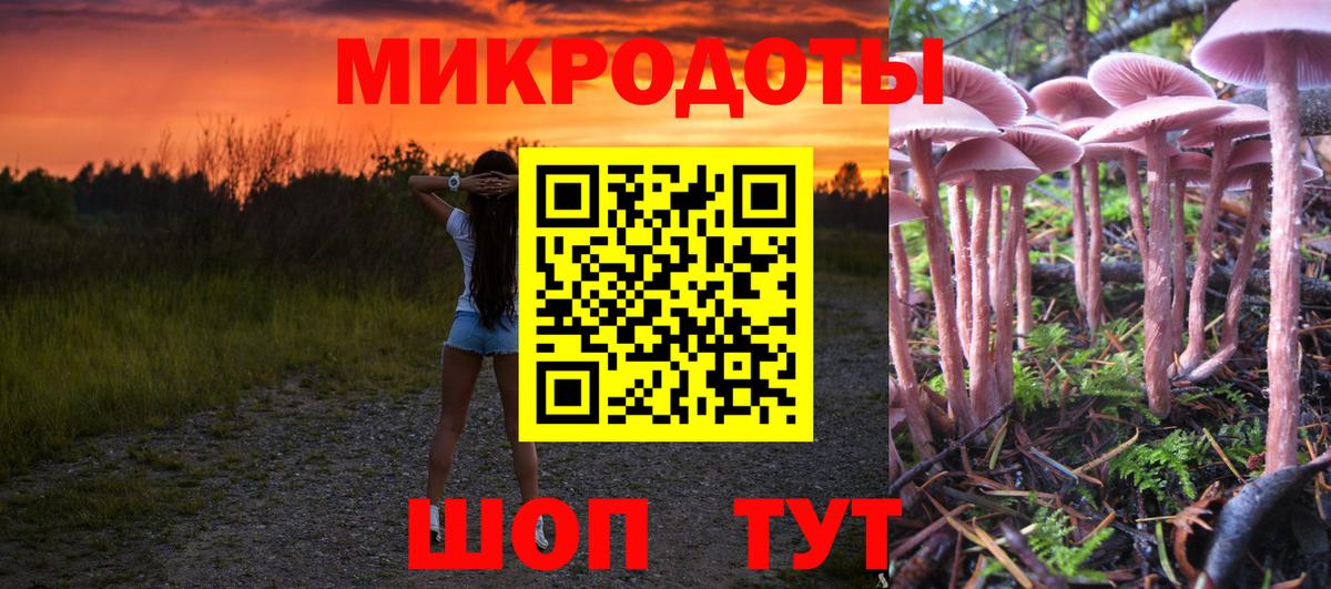 Галлюциногенные грибы Magic Shrooms Выборг
