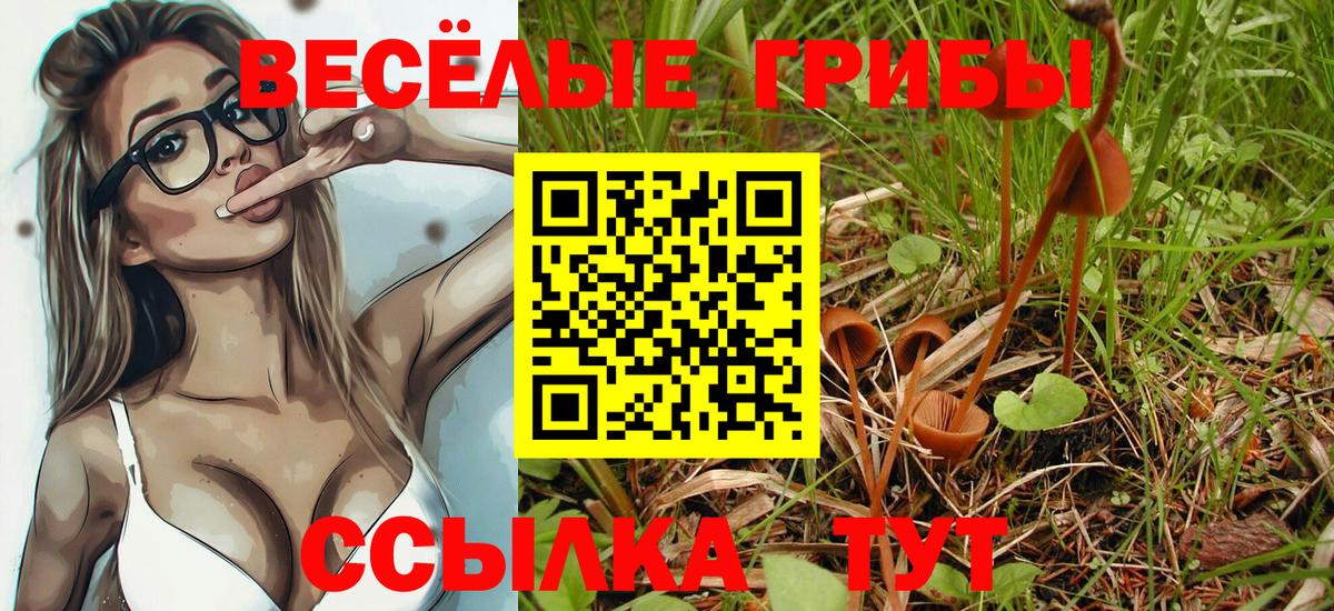 Выборг  Псилоцибиновые грибы MAGIC MUSHROOMS  Вход с VPN  наркошоп  Псилоцибиновые грибы MAGIC MUSHROOMS 